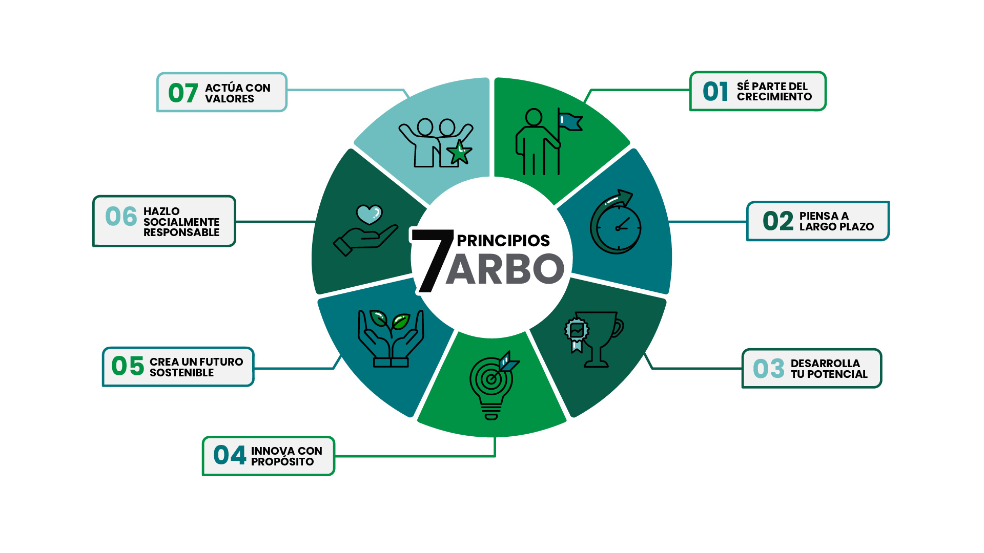 ARBO- Principios 2025_02